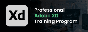Adobe XD Professional Training Course in Dubai