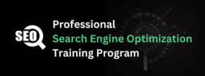 Search Engine Optimization Training