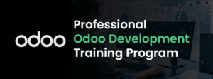 Odoo Development Course in Dubai